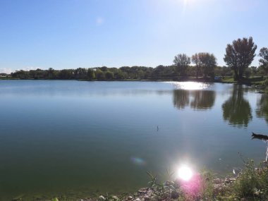 Doğal Peyzaj, dağ yolları ve vahşi doğa arasında küçük bir ormanın ağaçları arasında doğal bir görünüm 