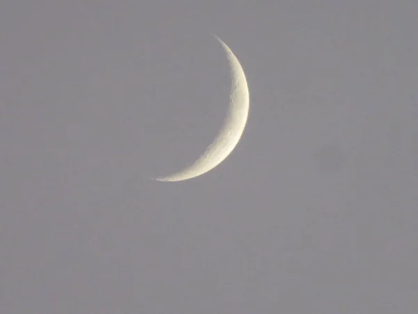 Luna Nostro Satellite Illuminato Dal Sole Nascente Diventa Falce Nel — Foto Stock