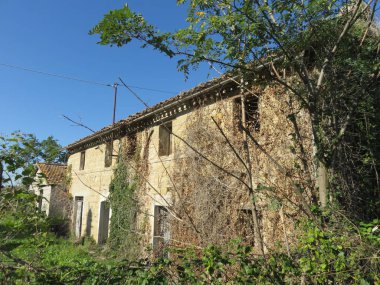 Terk Edilmiş Ev, dağ evi tamamen terk edilmiş, onu çevreleyen doğayla kaplı 