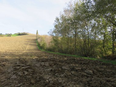 Doğal Peyzaj, dağ yolları ve vahşi doğa arasında küçük bir ormanın ağaçları arasında doğal bir görünüm 