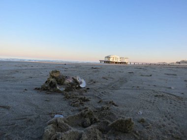 Denizdeki döner kavşak, bombalamalardan sonra şehrimin yeniden inşa edilen mükemmelliğinin sembolü. 