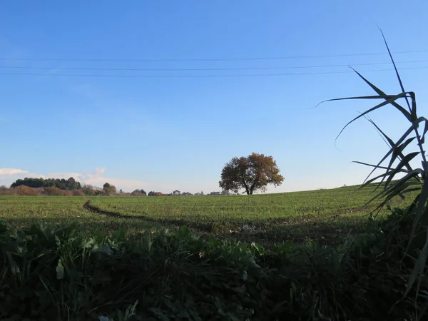 Paisaje Natural Naturaleza Sus Formas Hacen Que Paisaje Sea Único —  Fotos de Stock