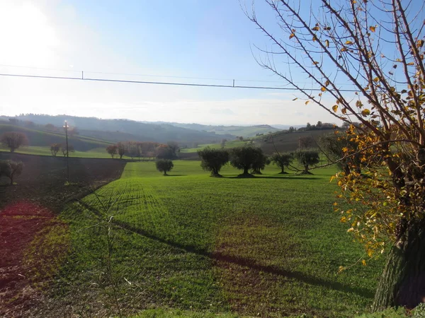 Přírodní Krajina Příroda Její Formy Činí Krajinu Jedinečnou Přirozeně Plnou — Stock fotografie