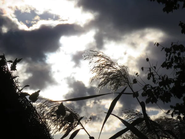 Облачный Пейзаж Облака Помощью Ветра Часто Меняют Свои Формы Постоянно — стоковое фото