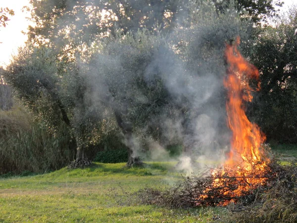 Φωτιά Στα Πιο Απομονωμένα Χωράφια Όταν Φύλλα Είναι Πολλά Και Royalty Free Φωτογραφίες Αρχείου