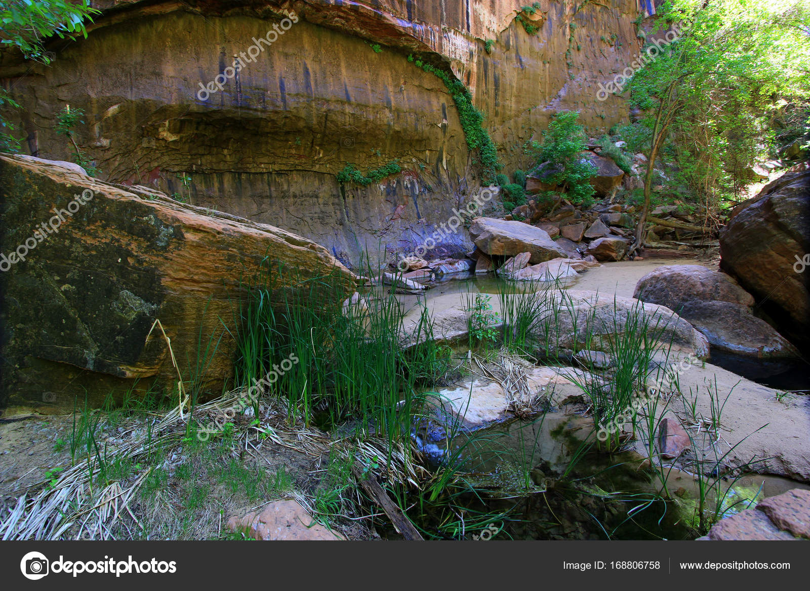 Water Garden In Middle Of The Desert Stock Photo C Ron