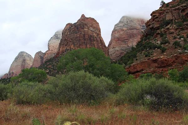 Zion National Park vistas panorâmicas — Fotografia de Stock