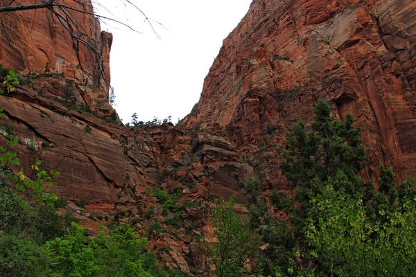 Parc national de Zion vues panoramiques — Photo