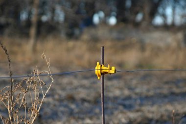 Bu geçici eskrim diyoruz