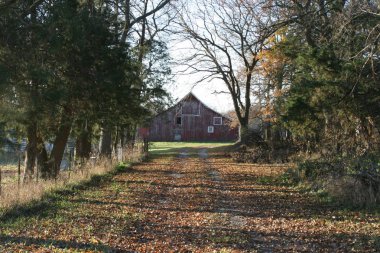 Midwest genelinde çiftlik kulübeler