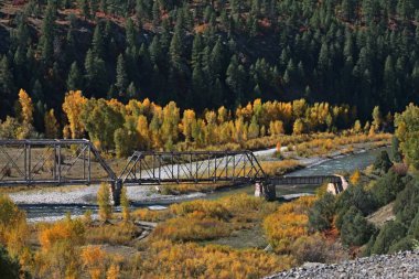 güzel sonbahar renkleri 
