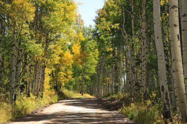 Aspens bir dağ kadar toprak yol astar geçmek