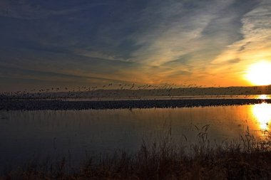 Yüksek ülkede benim