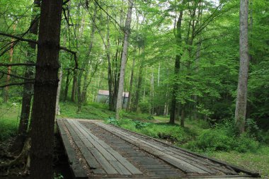 Yüksek ülkede benim