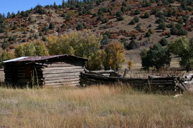 Yüksek ülkede benim