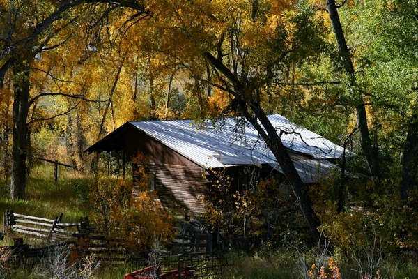 Üzerimize sonbahar renkleri vardır