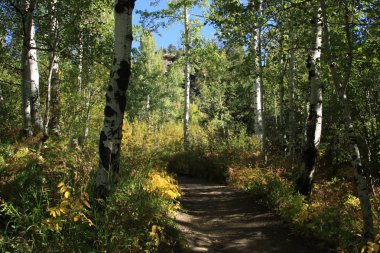Üzerimize sonbahar renkleri vardır