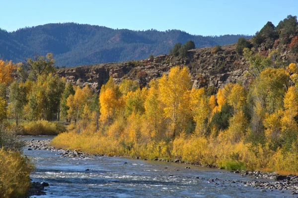 Couleurs Automnales Tremble Long Petit Ruisseau Bouillonnant Dans Colorado Éloigné — Photo