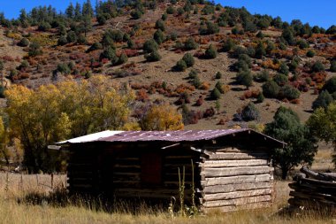 Rocky Dağları 'ndaki eski unutulmuş kulübe.