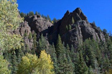 Rocky Dağları 'nda yılın sonbahar renkleri ile çevrili Rocky zirveleri