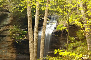 Akan sular Blue Ridge Parkway boyunca akar.