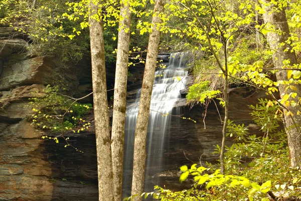 Akan sular Blue Ridge Parkway boyunca akar.