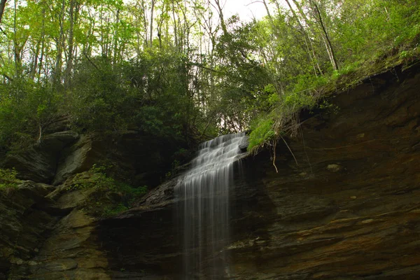 Alleen Het Brevard Gebied North Carolina Zijn Meer Dan 250 — Stockfoto