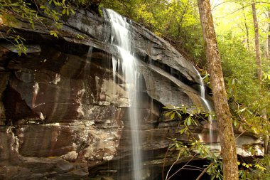 Akan sular Blue Ridge Parkway boyunca akar.