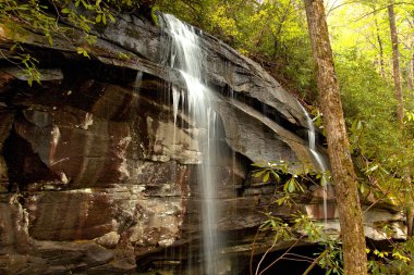 Akan sular Blue Ridge Parkway boyunca akar.