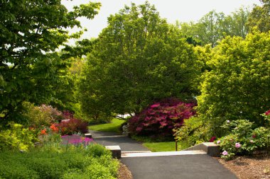 Parlak yeşil manzara gözlerini yakalar.