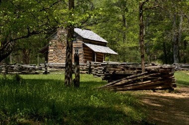 Rocky Dağı Ulusal Parkı 'ndaki Cades Cove' da tarihi bir kulübe.