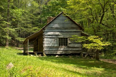 Sonbahar renkleriyle çevrili Smokey Mountain Ulusal Parkı 'ndaki Cades Cove' da Carter Shields kulübesi