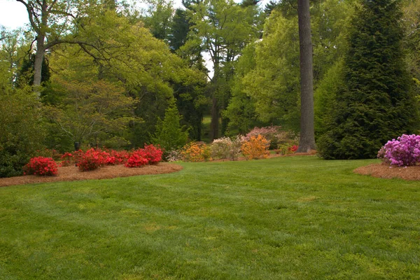 Göreceğin en güzel park!