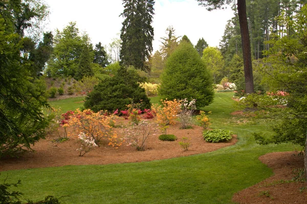 花や低木で美しい秋の造園庭 — ストック写真