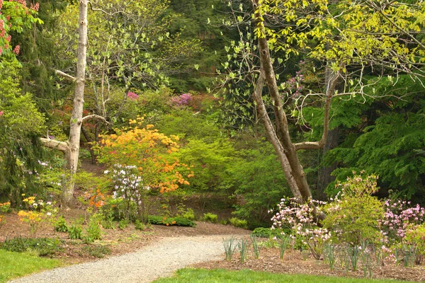 Colorful Fall Landscape Greens Yellows — Stock Photo, Image