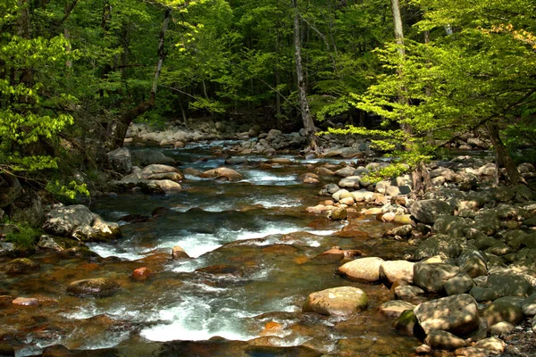 Ruisseau Montagne Précipitant Par Les Couleurs Automnales Entourant Les Rochers — Photo