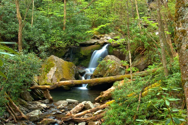 Colorful Waterfall Deep Forest Surrounded Rocks Trees — Stockfoto