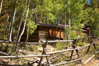 Boş dağ kulübesi, sonbahar yeşillikleriyle çevrili unutulmuş.