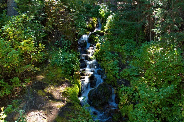 Pequeño Arroyo Montaña Convierte Agua Miniatura Cae Largo Una Ruta — Foto de Stock