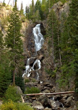 Dağ ormanında şelalesi olan güzel bir manzara,