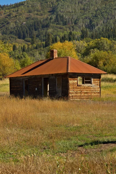 Verlassene Berghütte Umgeben Von Glühenden Espenbäumen Auf Einer Wiese — Stockfoto