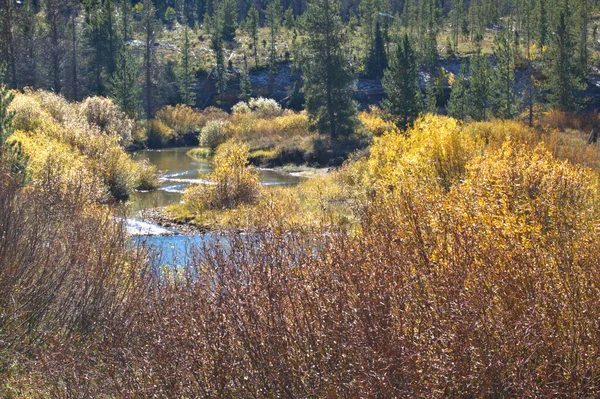 山间溪流沿着溪流流过秋天的色彩 — 图库照片