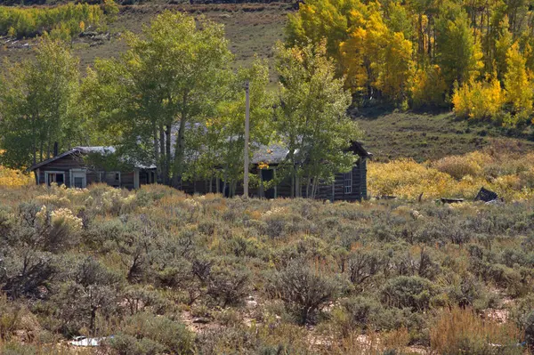 Cabina Abbandonata Trova Circondato Salvia Pioppi Autunno — Foto Stock