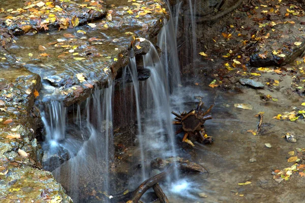 Petite Cascade Qui Coule Sur Rebord Rocheux Avec Des Feuilles — Photo