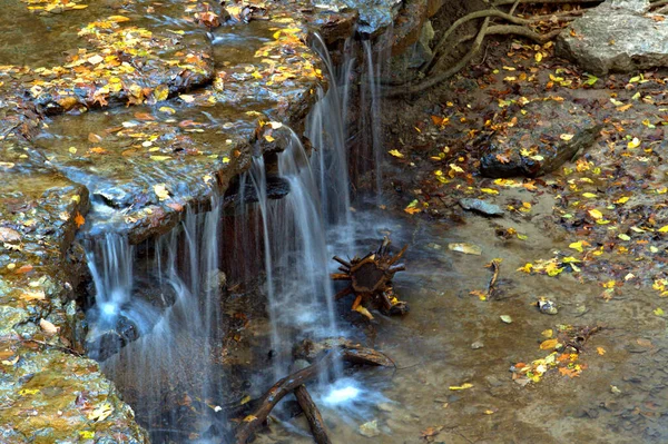 Pequenas Mas Muito Coloridas Cachoeiras Com Folhas Amarelas Córrego Água — Fotografia de Stock
