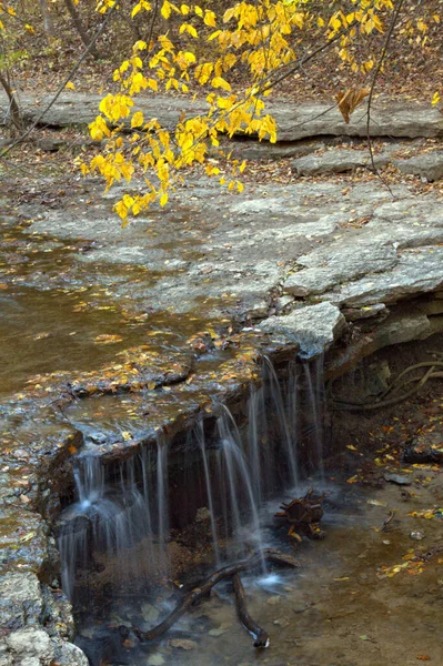 Маленькие Красочные Водопады Желтыми Листьями Потоке Воды — стоковое фото