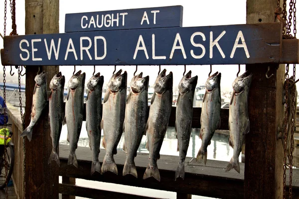 Yalancı balıkçılık