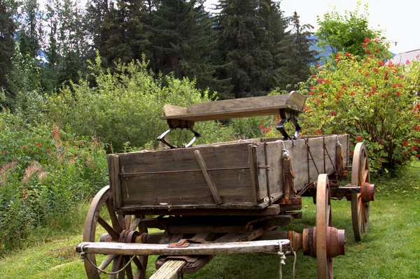 Horse Drawn wagon — Stock Photo, Image