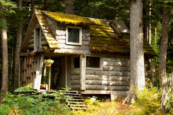 Ancienne cabane en rondins en Alaska éloigné — Photo