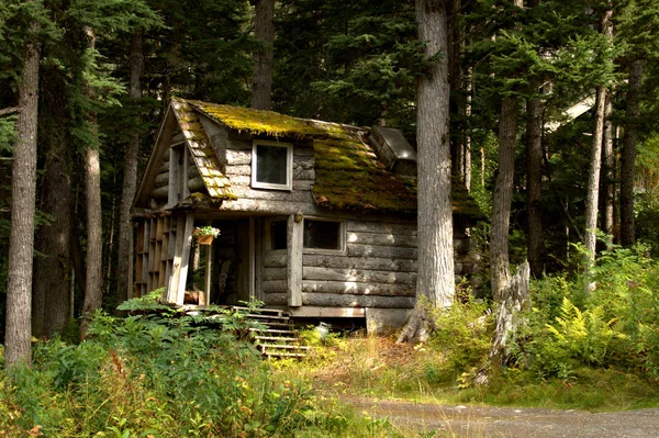 Uzak Alaska kulübesi — Stok fotoğraf